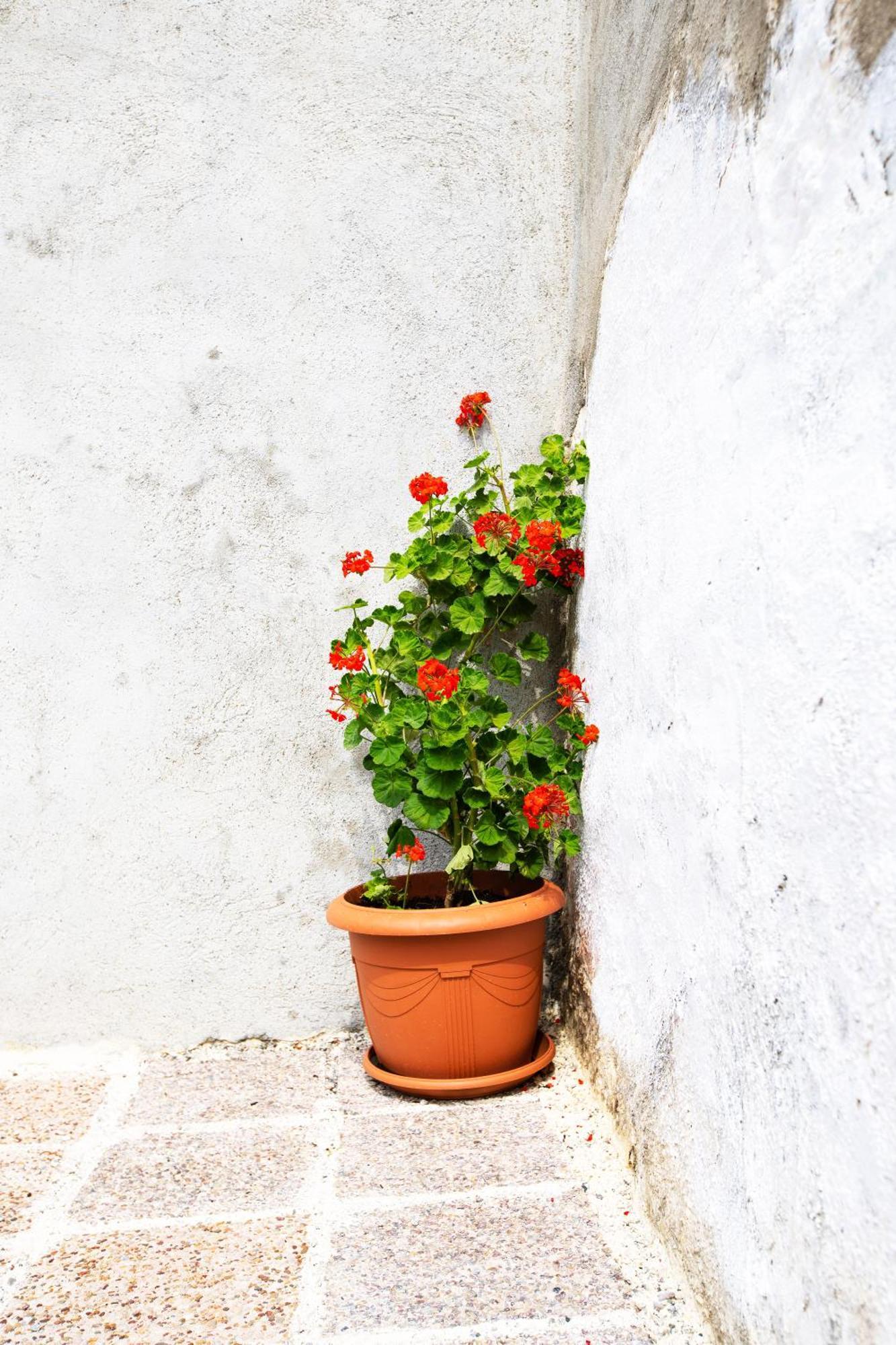 Stefanis Relis House Holiday home Archangelos (Rhodes)